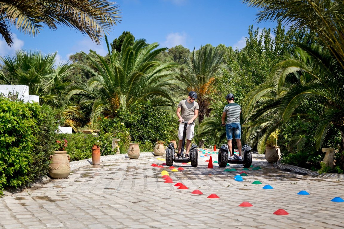 Segway team building